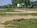 IMG_4464