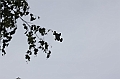 IMG_9064