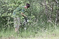 IMG_9101