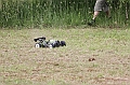 IMG_9104