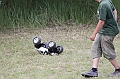 IMG_9191