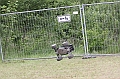 IMG_9206