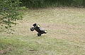 IMG_9219