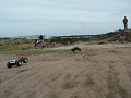 DSCF1616