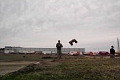 IMG02211