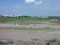 tn_P1010026
