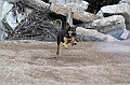 IMG_4877