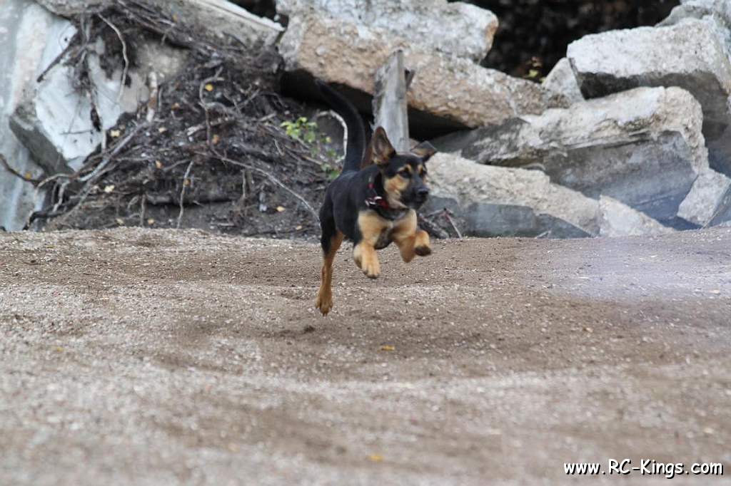 IMG_4877.JPG