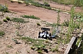 IMG_2036