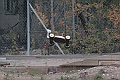 IMG_6262