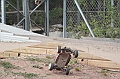 IMG_3766