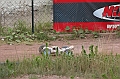IMG_3191
