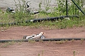 IMG_3193