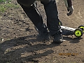 tn_IMG_0340