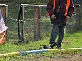 tn_IMG_0341