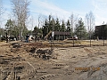 tn_IMG_1983