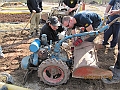 tn_IMG_2005