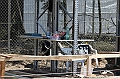IMG_8653