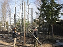 IMG_1158