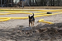 IMG_6592