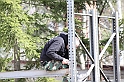 IMG_6603