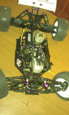 IMAG0019.jpg